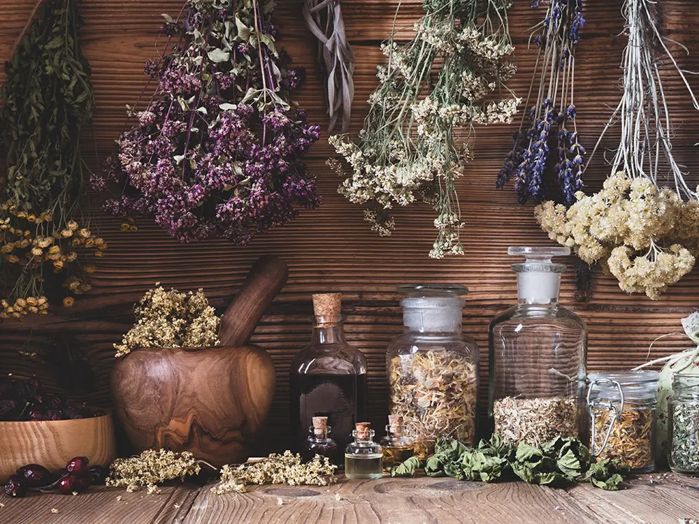Phytothérapie - Pharmacie du Saugeais